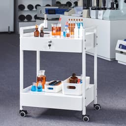Laboratórny vozík, 2-úrovňový úžitkový vozík z nehrdzavejúcej ocele, zdravotnícky vozík s 2 zásuvkami, kolieskový laboratórny vozík, biely náter, servírovací vozík s otočnými kolieskami pre laboratóriá, nemocnice, zubné lekárne, salóny krásy a kozmetické salóny. - miniatúra 1