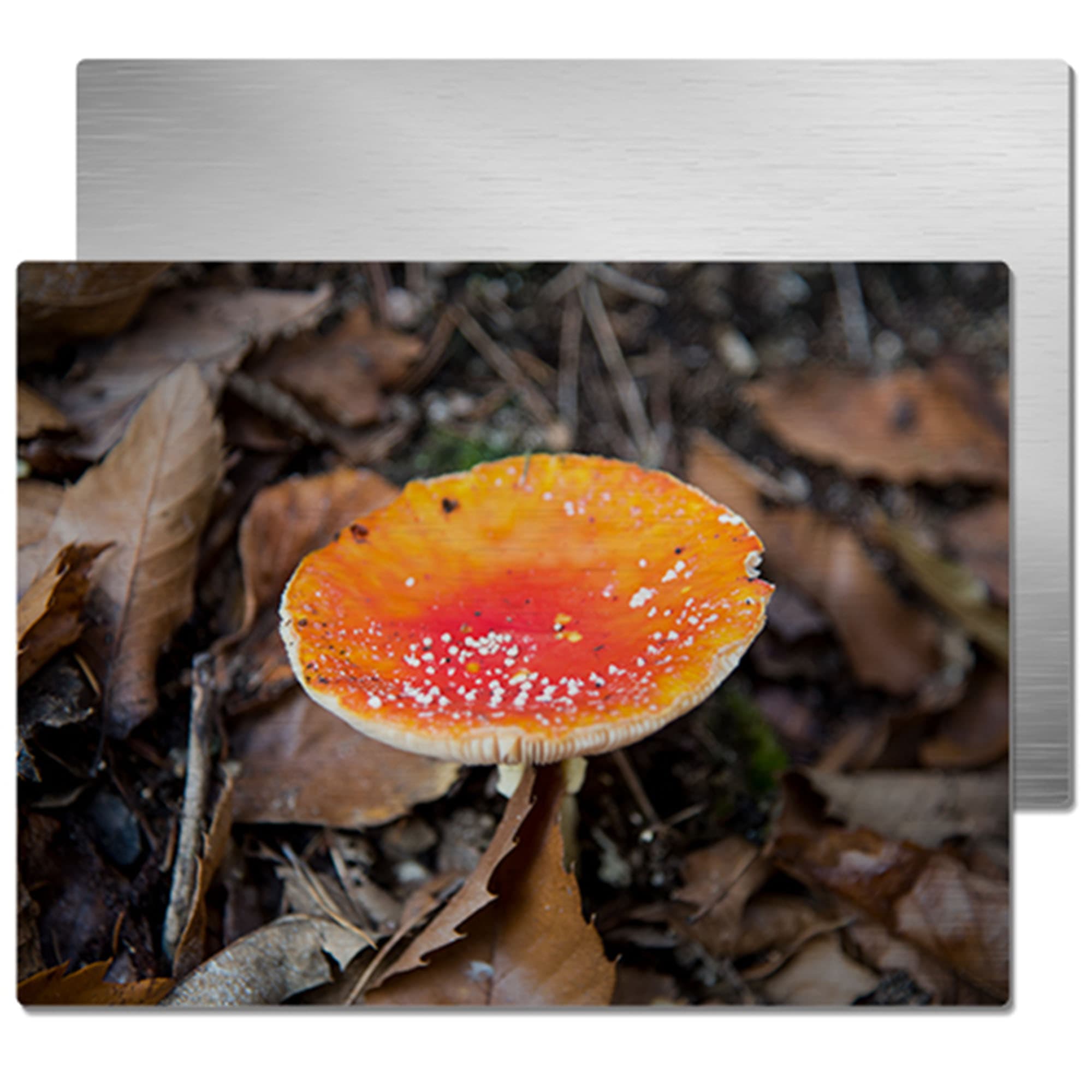 Hliníkový fotopanel ChromaLuxe, brúsená strieborná farba, 150 x 200 x 1,15 mm, zaoblené rohy, 10 ks/kartón