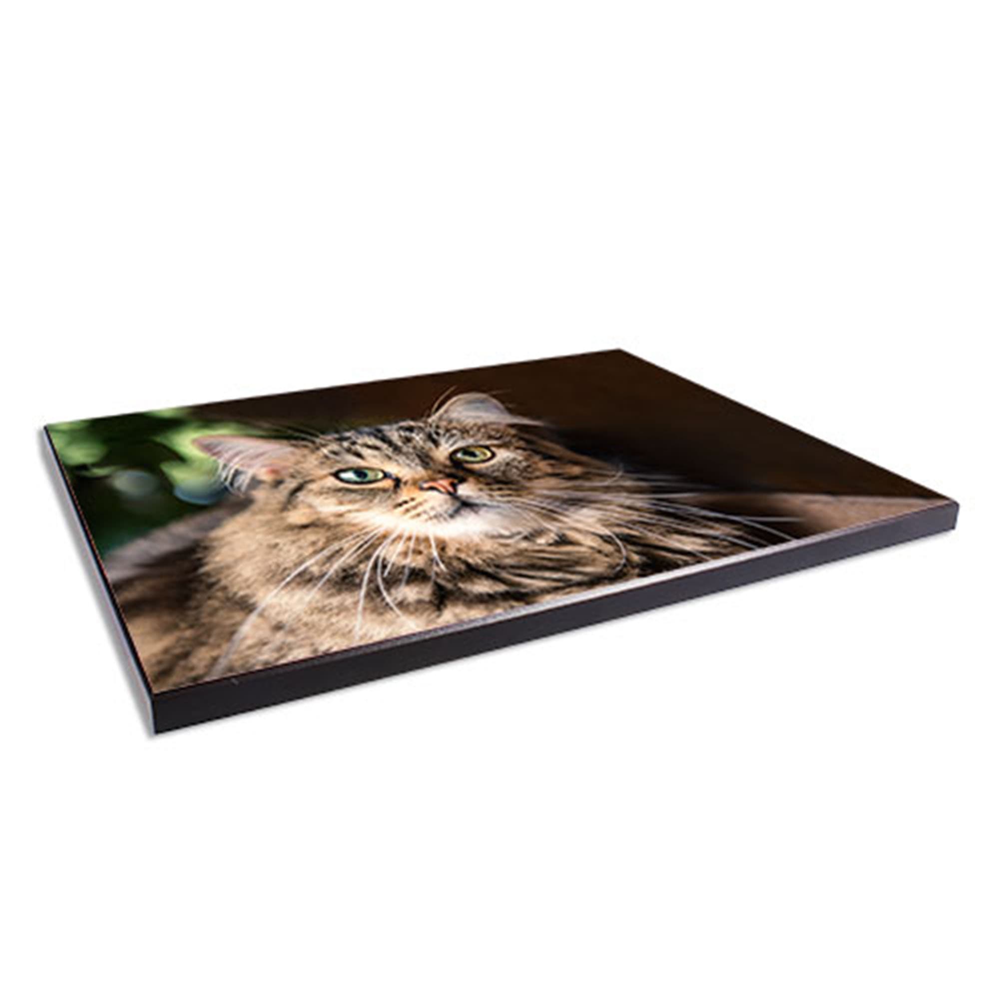 Nástenný panel ChromaLuxe lesklo-biely, 180 x 270 x 16 mm, farba rámu čierna, 10 ks/balenie