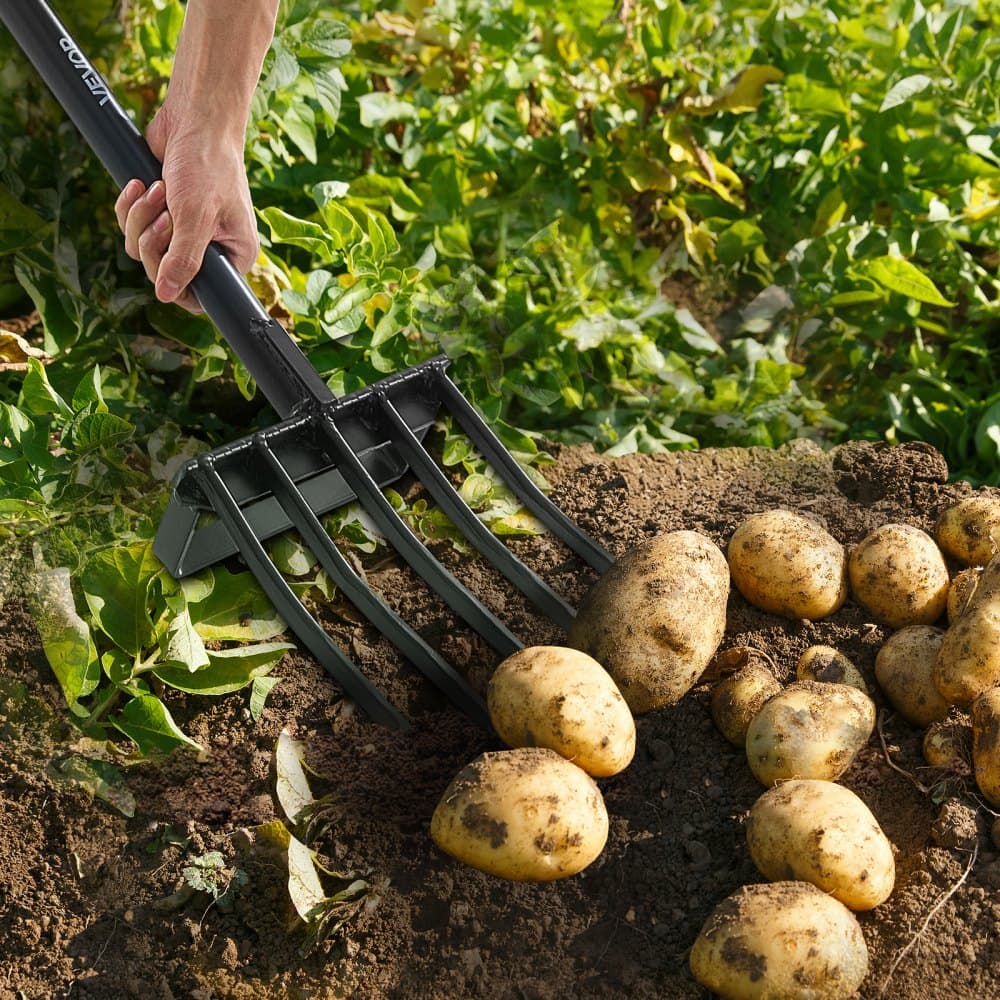 Záhradné vidly, 5-zubé záhradnícke vidly s kovovou rukoväťou, 41-palcové odolné rycie vidly s Y-rúčkou, kované oceľové rýľovacie vidly na seno, kompostovanie zemiakov, presádzanie, prevzdušňovanie